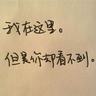 中国繁育最美蛇